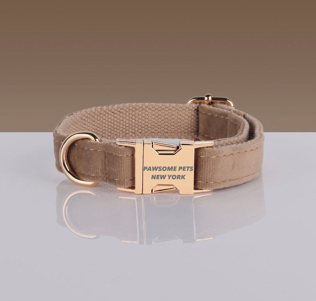 PAWSOME DOG COLLAR - #8