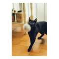 Cat Wand Gloria Gaudí Wood Pompom (6 cm) 🐱🎣