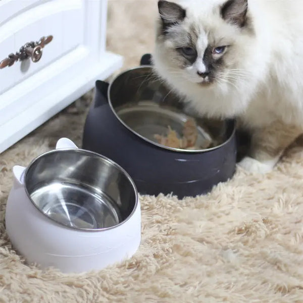 Pastel Cat Bowl 🐱🥣